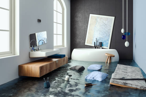 Best Carpet water damage restoration  in Otsego, MN
