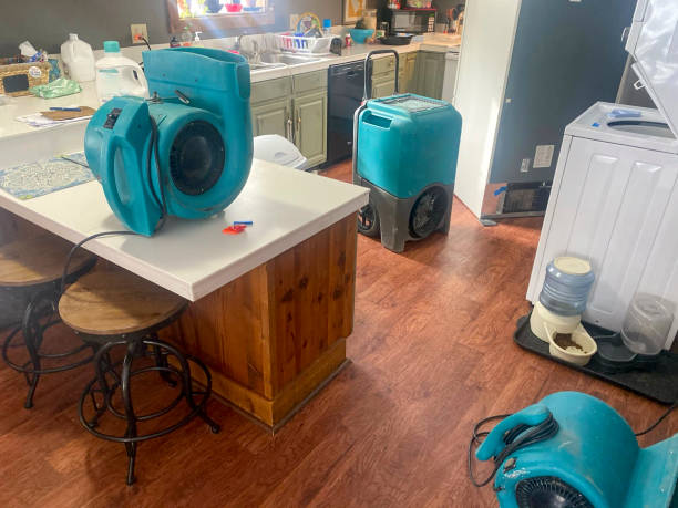 Best Water damage restoration services  in Otsego, MN