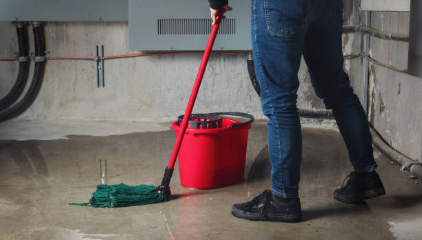 Best Water damage contractors near me  in Otsego, MN