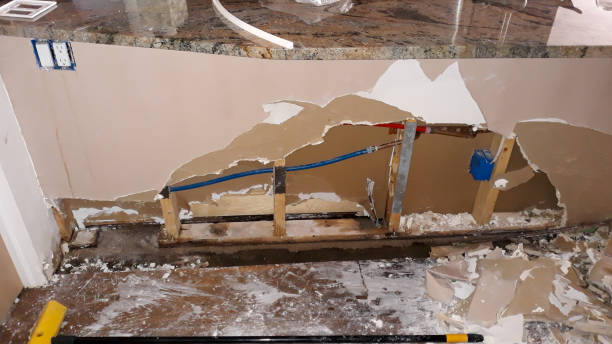 Best Fire Damage Restoration  in Otsego, MN