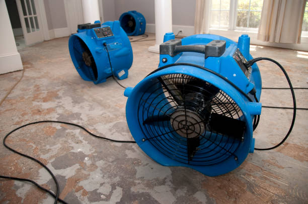 Best Water damage restoration near me  in Otsego, MN