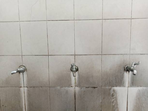 Best Water damage restoration near me  in Otsego, MN