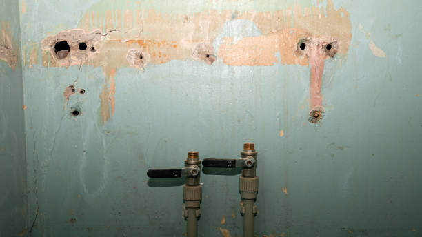 Best Basement water damage restoration  in Otsego, MN
