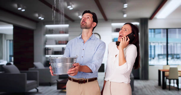  Otsego, MN Water damage restoration Pros