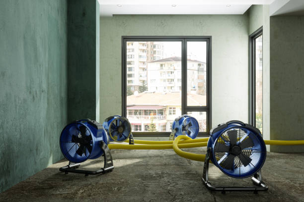 Best Ceiling water damage repair  in Otsego, MN